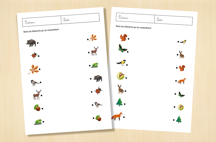 Fiches gratuites PDF